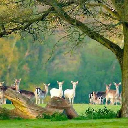 New Forest Retreat Shorefield Country Park Lymington Zewnętrze zdjęcie