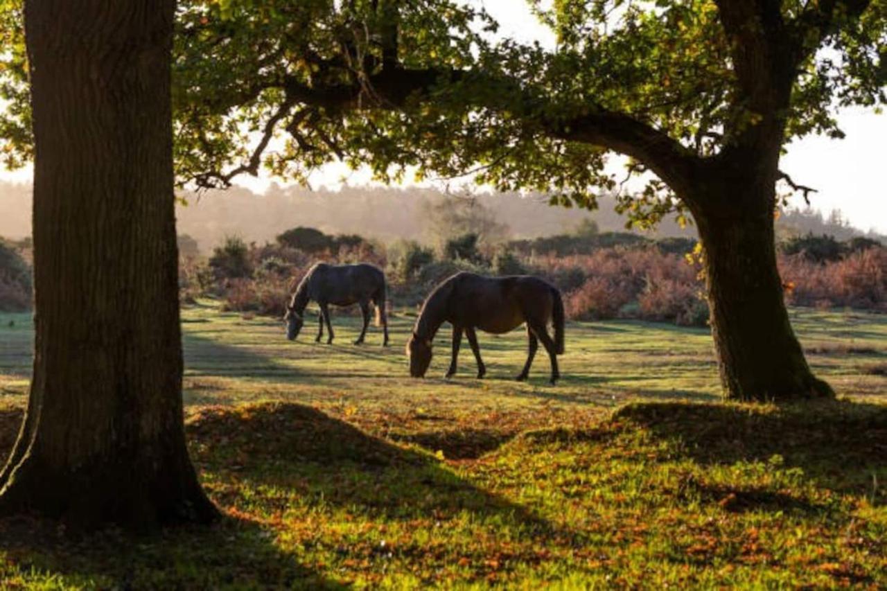 New Forest Retreat Shorefield Country Park Lymington Zewnętrze zdjęcie